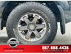 2019 Nissan Frontier PRO-4X (Stk: 789) in Whitehorse - Image 15 of 22