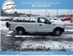 2017 Ford F-150 XL (Stk: 17-09533) in Greenwood - Image 5 of 17