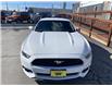 2017 Ford Mustang EcoBoost (Stk: 232638) in Milton - Image 8 of 21
