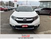 2019 Honda CR-V EX-L AWD (Stk: R12014) in St. Catharines - Image 3 of 23