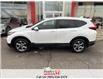 2019 Honda CR-V EX-L AWD (Stk: R12014) in St. Catharines - Image 6 of 23