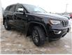 2021 Jeep Grand Cherokee Limited (Stk: F0121) in Humboldt - Image 3 of 29