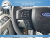 2017 Ford F-150 XLT (Stk: 17-E29549) in Greenwood - Image 13 of 18