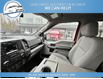 2017 Ford F-150 XLT (Stk: 17-E29549) in Greenwood - Image 9 of 18