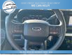 2023 Ford F-250 XLT (Stk: 23-C17438) in Greenwood - Image 12 of 20