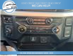 2023 Ford F-250 XLT (Stk: 23-C17438) in Greenwood - Image 19 of 20