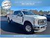 2023 Ford F-250 XLT (Stk: 23-C17438) in Greenwood - Image 4 of 20
