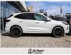 2025 Ford Escape ST-Line Elite (Stk: S0269) in Woodbridge - Image 1 of 9