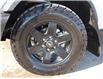 2023 Ford Bronco Black Diamond (Stk: 25080A) in Humboldt - Image 27 of 29