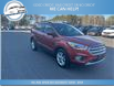 2019 Ford Escape SEL (Stk: 19-35579) in Greenwood - Image 4 of 18