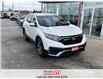 2022 Honda CR-V LX 2WD (Stk: R12116) in St. Catharines - Image 1 of 12
