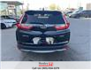 2019 Honda CR-V EX AWD (Stk: H21934A) in St. Catharines - Image 9 of 23