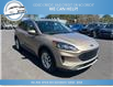 2020 Ford Escape SE (Stk: 20-C02166) in Greenwood - Image 3 of 20