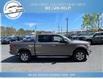 2020 Ford F-150 XLT (Stk: 20-B22502) in Greenwood - Image 5 of 19