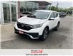 2020 Honda CR-V LX AWD (Stk: R12130) in St. Catharines - Image 4 of 12