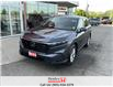 2023 Honda CR-V EX-L AWD (Stk: H22088A) in St. Catharines - Image 4 of 23