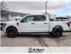 2025 Ford F-150 STX (Stk: S0344) in Woodbridge - Image 5 of 20