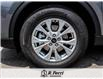 2025 Ford Escape Active (Stk: S0479) in Woodbridge - Image 17 of 24