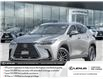 2025 Lexus NX 350h  (Stk: 15105529A) in Richmond Hill - Image 1 of 28