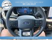 2024 Ford F-150 XL (Stk: 24-E53607) in Greenwood - Image 15 of 23