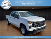 2023 Chevrolet Silverado 1500 Work Truck (Stk: 23-107415) in Greenwood - Image 4 of 20