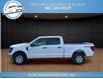 2024 Ford F-150 XL (Stk: 24-E53607) in Greenwood - Image 2 of 23