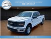 2024 Ford F-150 XL (Stk: 24-E53607) in Greenwood - Image 1 of 23