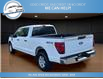 2024 Ford F-150 XL (Stk: 24-E53607) in Greenwood - Image 8 of 23