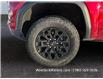 2026 GMC Canyon Elevation (Stk: W80424) in Westlock - Image 14 of 15