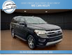 2024 Ford Expedition Limited (Stk: 24-a65162) in Greenwood - Image 4 of 18