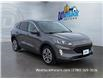 2022 Ford Escape SEL (Stk: W80447) in Westlock - Image 7 of 15