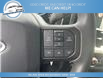 2023 Ford F-150 XLT (Stk: 23-D46566) in Greenwood - Image 14 of 20