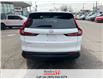 2024 Honda CR-V LX-B (Stk: R12535) in St. Catharines - Image 9 of 12