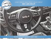 2024 Kia Seltos EX Premium (Stk: 24-634009) in Greenwood - Image 15 of 18