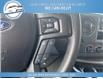 2024 Ford E-450 Cutaway Base (Stk: 24-D19210) in Greenwood - Image 14 of 17