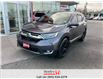 2019 Honda CR-V Touring (Stk: R12471A ) in St. Catharines - Image 4 of 12