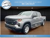 2024 Chevrolet Silverado 1500 Work Truck (Stk: 24-155161) in Greenwood - Image 1 of 20