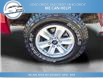 2019 Ford F-150 XLT (Stk: 19-c36275) in Greenwood - Image 8 of 17