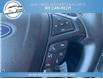 2020 Ford Edge SE (Stk: 20-A63793) in Greenwood - Image 13 of 18