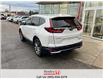 2021 Honda CR-V Touring (Stk: H22750A) in St. Catharines - Image 7 of 12