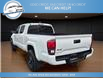 2023 Toyota Tacoma Base (Stk: 23-023788) in Greenwood - Image 7 of 17