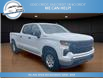 2023 Chevrolet Silverado 1500 Work Truck (Stk: 23-191527) in Greenwood - Image 4 of 19