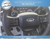 2024 Ford F-250 XLT (Stk: 24-e55083) in Greenwood - Image 16 of 21