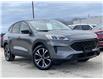 2021 Ford Escape SE (Stk: 21T331) in Midland - Image 1 of 15