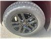 2023 Chevrolet Silverado 1500 RST (Stk: 23-063) in Hinton - Image 10 of 17