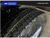 2023 Chevrolet Silverado 1500 Work Truck (Stk: 23049) in Quesnel - Image 7 of 25