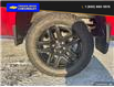 2025 Chevrolet Silverado 1500 LT Trail Boss (Stk: 25043) in Quesnel - Image 6 of 25