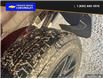 2025 Chevrolet Silverado 1500 LT Trail Boss (Stk: 25043) in Quesnel - Image 7 of 25
