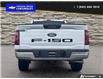 2024 Ford F-150 XLT (Stk: 8772) in Quesnel - Image 5 of 25