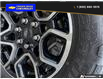 2017 Ford F-150 XL (Stk: 26064A) in Quesnel - Image 6 of 24